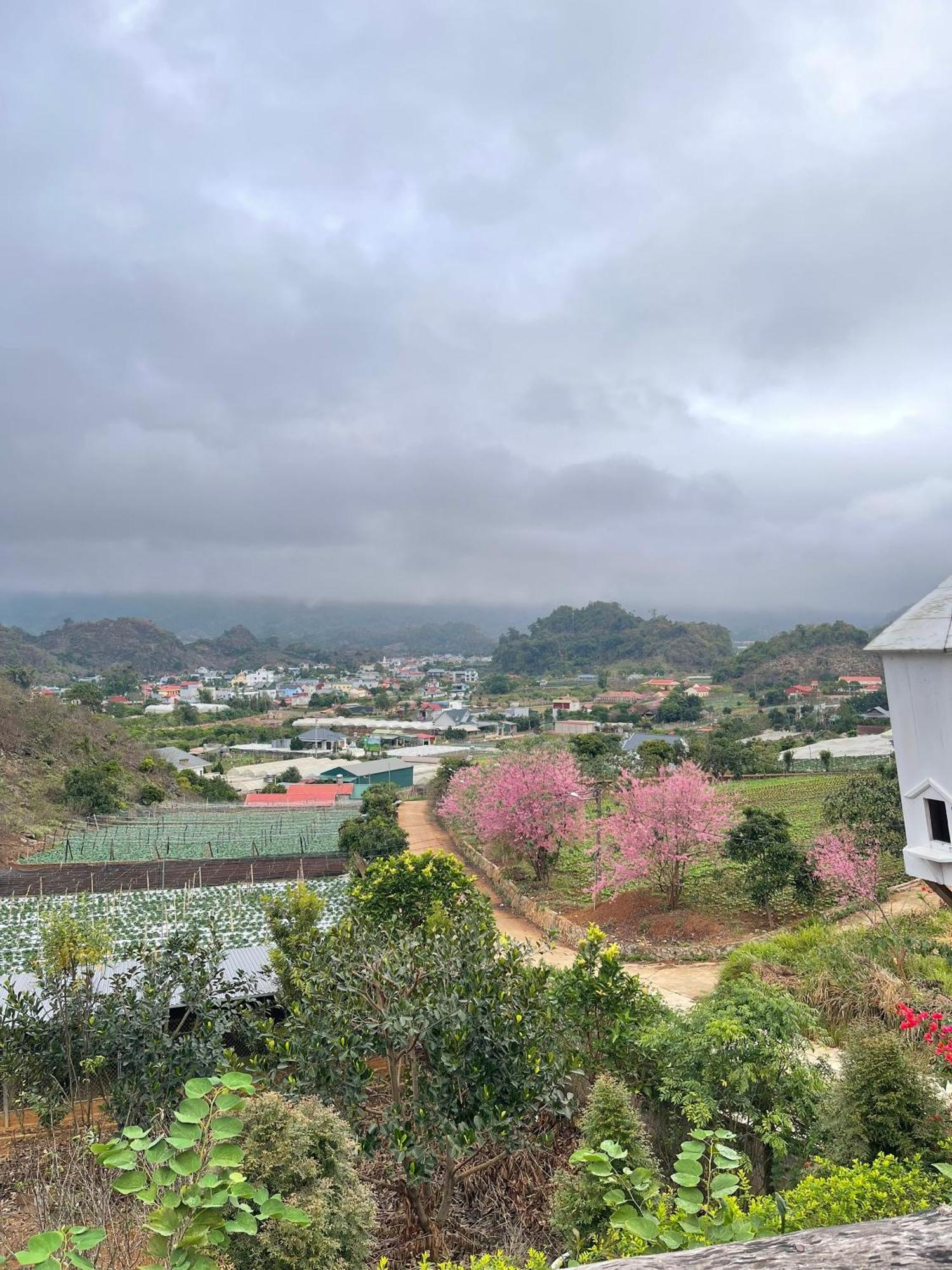 Doi Thong Homestay Moc Chau - By Bay Luxury Son La Exterior foto